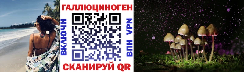 mega как войти  Кремёнки  Псилоцибиновые грибы Cubensis 